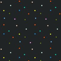 dsStella-DFG3623 Raven